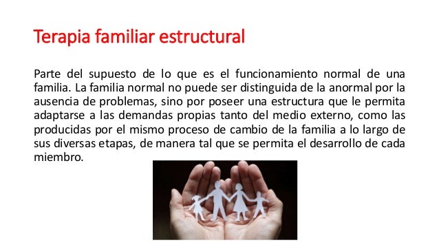Tecnicas en terapia familiar Tecnicas en terapia familiar
