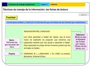 Técnicas de trabajo intelectual        Imagen 11   TÉCNICAS



Técnicas de manejo de la información: las fichas de lectura

                                                                                          Imagen final

  Finalidad
  Finalidad
   Sirven para ordenar y clasificar la información que extraemos de las fuentes que consultamos.




                      ADQUISICIÓN DEL LENGUAJE
                                                                                    Cabecera:
                      Los niños aprenden a hablar tan rápido, que el único         Modo en que
      Nota:           modo de explicarlo es proponer que tenemos una                ordenamos
   Información        capacidad cerebral que nos ayuda a aprender a hablar.
                                                                                     las fichas:
 que sacamos del                                                                    por temas,
                      Esta capacidad es propia de los humanos puesto que los       títulos de los
      libro
                      animales no hablan.                                           libros, etc.

     Fuente           HERNANZ, M. L. y BRUCART, J. M. (1987): La sintaxis,
                      Barcelona, Editorial Crítica.
 