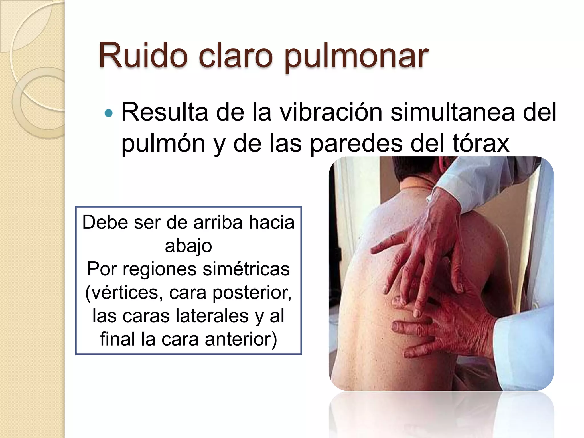Torax Ex Tecnicas exploratorias de torax lesly | PPTX