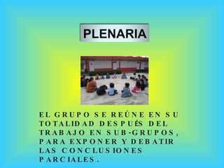 EL GRUPO SE REÚNE EN SU TOTALIDAD DESPU É S DEL TRABAJO EN SUB-GRUPOS, PARA EXPONER Y DEBATIR LAS CONCLUSIONES PARCIALES. ...