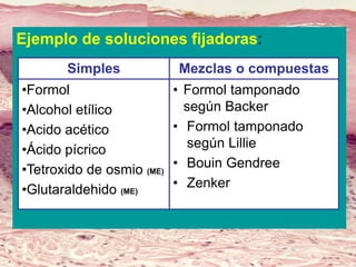 Lic. SUSI DAVOLIO- Cátedra
Histología- FM
Ejemplo de soluciones fijadoras:
Simples Mezclas o compuestas
•Formol
•Alcohol etílico
•Acido acético
•Ácido pícrico
•Tetroxido de osmio (ME)
•Glutaraldehido (ME)
• Formol tamponado
según Backer
• Formol tamponado
según Lillie
• Bouin Gendree
• Zenker
 
