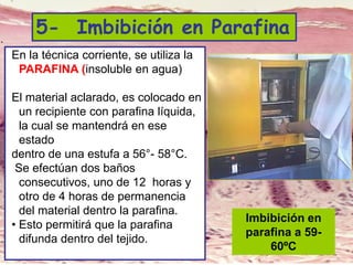 Lic. SUSI DAVOLIO- Cátedra
Histología- FM
En la técnica corriente, se utiliza la
PARAFINA (insoluble en agua)
El material aclarado, es colocado en
un recipiente con parafina líquida,
la cual se mantendrá en ese
estado
dentro de una estufa a 56°- 58°C.
Se efectúan dos baños
consecutivos, uno de 12 horas y
otro de 4 horas de permanencia
del material dentro la parafina.
• Esto permitirá que la parafina
difunda dentro del tejido.
5- Imbibición en Parafina
Imbibición en
parafina a 59-
60ºC
 