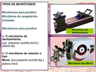 Lic. SUSI DAVOLIO- Cátedra
Histología- FM
TIPOS DE MICRÓTOMOS
Micrótomos para parafina
Micrótomo de congelación
Crióstato
Micrótomos para parafina:
a- El micrótomo de
deslizamiento,
que presenta cuchilla móvil y
platina fija
b- El micrótomo de rotación o
tipo
Minot, que presenta cuchilla fija y
platina móvil. Micrótomo tipo Minot
Micrótomo de
deslizamiento
 