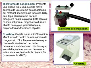 Lic. SUSI DAVOLIO- Cátedra
Histología- FM
Micrótomo de congelación.
Micrótomo de congelación: Presenta
una platina fija y una cuchilla móvil,
además de un sistema de congelación
del material, mediante un tubo con CO2,
que llega al micrótomo por una
manguera hasta la platina. Esta técnica
es muy útil para el diagnóstico durante
el acto quirúrgico, permitiéndole al
cirujano tomar decisiones rápidas.
Crióstato: Consta de un micrótomo tipo
Minot incluido dentro de una cámara de
congelación. El volante o manivela que
controla la realización del corte
permanece en el exterior, mientras que
la cuchilla y el mecanismo de avance
están situados dentro de la cámara fría
(normalmente -20°C).
Crióstato.
 