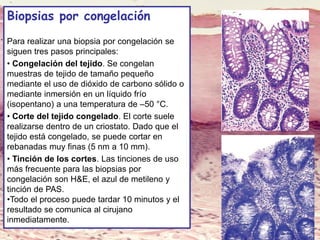 Lic. SUSI DAVOLIO- Cátedra
Histología- FM
Biopsias por congelación
Para realizar una biopsia por congelación se
siguen tres pasos principales:
• Congelación del tejido. Se congelan
muestras de tejido de tamaño pequeño
mediante el uso de dióxido de carbono sólido o
mediante inmersión en un líquido frío
(isopentano) a una temperatura de –50 °C.
• Corte del tejido congelado. El corte suele
realizarse dentro de un criostato. Dado que el
tejido está congelado, se puede cortar en
rebanadas muy finas (5 nm a 10 mm).
• Tinción de los cortes. Las tinciones de uso
más frecuente para las biopsias por
congelación son H&E, el azul de metileno y
tinción de PAS.
•Todo el proceso puede tardar 10 minutos y el
resultado se comunica al cirujano
inmediatamente.
 