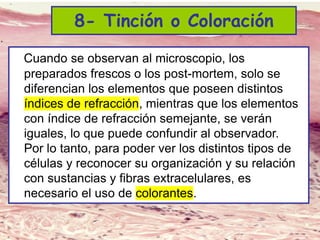 Lic. SUSI DAVOLIO- Cátedra
Histología- FM
Tipos
8- Tinción o Coloración
Cuando se observan al microscopio, los
preparados frescos o los post-mortem, solo se
diferencian los elementos que poseen distintos
índices de refracción, mientras que los elementos
con índice de refracción semejante, se verán
iguales, lo que puede confundir al observador.
Por lo tanto, para poder ver los distintos tipos de
células y reconocer su organización y su relación
con sustancias y fibras extracelulares, es
necesario el uso de colorantes.
 