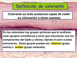 Lic. SUSI DAVOLIO- Cátedra
Histología- FM
Definición de colorante
Colorante es toda sustancia capaz de ceder
su coloración a otros cuerpos
En los colorantes hay grupos químicos que le confieren
color (grupos cromóforos) y otros que reaccionan con los
componentes del tejido y células, fijando el color a estas
estructuras. Estos grupos pueden ser: básicos (grupo
amino) o ácidos (grupo carboxilo).
 