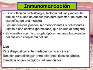 Inmunomarcación
• Es una técnica de histología, biología celular y molecular
que se en el uso de anticuerpos para detectar una proteína
específica en una muestra
• Los anticuerpos pueden ser monoclonares o policlonares
unidos a una enzima (peroxidasa) que se une al antígeno.
• Se visualiza con microscopía óptica mediante la coloración
del núcleo o citoplasma celular.
Uso
Para diagnosticar enfermedades como el cáncer.
También para distinguir entre diferentes tipos de cáncer.
Identificar origen de tejidos indiferenciados.
 