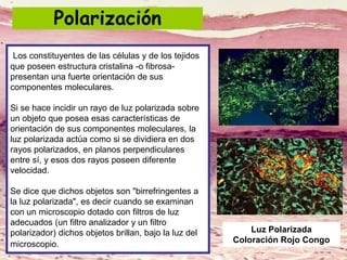 Polarización
Los constituyentes de las células y de los tejidos
que poseen estructura cristalina -o fibrosa-
presentan una fuerte orientación de sus
componentes moleculares.
Si se hace incidir un rayo de luz polarizada sobre
un objeto que posea esas características de
orientación de sus componentes moleculares, la
luz polarizada actúa como si se dividiera en dos
rayos polarizados, en planos perpendiculares
entre sí, y esos dos rayos poseen diferente
velocidad.
Se dice que dichos objetos son "birrefringentes a
la luz polarizada", es decir cuando se examinan
con un microscopio dotado con filtros de luz
adecuados (un filtro analizador y un filtro
polarizador) dichos objetos brillan, bajo la luz del
microscopio.
Luz Polarizada
Coloración Rojo Congo
 