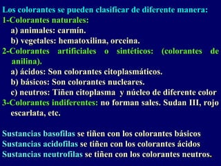 Los colorantes se pueden clasificar de diferente manera:
1-Colorantes naturales:
  a) animales: carmín.
  b) vegetales: hematoxilina, orceina.
2-Colorantes artificiales o sintéticos: (colorantes de
  anilina).
  a) ácidos: Son colorantes citoplasmáticos.
  b) básicos: Son colorantes nucleares.
  c) neutros: Tiñen citoplasma y núcleo de diferente color
3-Colorantes indiferentes: no forman sales. Sudan III, rojo
  escarlata, etc.

Sustancias basofilas se tiñen con los colorantes básicos
Sustancias acidofilas se tiñen con los colorantes ácidos
Sustancias neutrofilas se tiñen con los colorantes neutros.
 