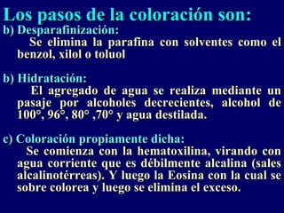 Los pasos de la coloración son:
b) Desparafinización:
     Se elimina la parafina con solventes como el
   benzol, xilol o toluol
b) Hidratación:
     El agregado de agua se realiza mediante un
   pasaje por alcoholes decrecientes, alcohol de
   100°, 96°, 80° ,70° y agua destilada.
c) Coloración propiamente dicha:
     Se comienza con la hematoxilina, virando con
   agua corriente que es débilmente alcalina (sales
   alcalinotérreas). Y luego la Eosina con la cual se
   sobre colorea y luego se elimina el exceso.
 