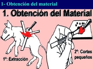 1- Obtención del material
 