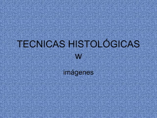 TECNICAS HISTOLÓGICAS 
w 
imágenes 
 