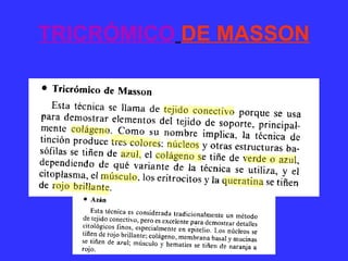TRICRÓMICO DE MASSON