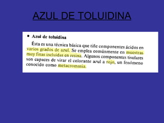 AZUL DE TOLUIDINA