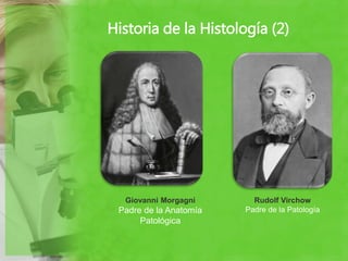 Historia de la Histología (2)
Giovanni Morgagni
Padre de la Anatomía
Patológica
Rudolf Virchow
Padre de la Patología
 
