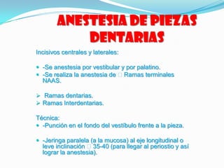 Anestesia de piezas
dentarias
Incisivos centrales y laterales:
 -Se anestesia por vestibular y por palatino.
 -Se realiza la anestesia de Ramas terminales
NAAS.
 Ramas dentarias.
 Ramas Interdentarias.
Técnica:
 -Punción en el fondo del vestíbulo frente a la pieza.
 -Jeringa paralela (a la mucosa) al eje longitudinal o
leve inclinación 35-40 (para llegar al periostio y así
lograr la anestesia).
 