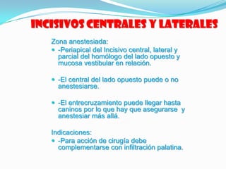 Incisivos centrales y laterales
Zona anestesiada:
 -Periapical del Incisivo central, lateral y
parcial del homólogo del lado opuesto y
mucosa vestibular en relación.
 -El central del lado opuesto puede o no
anestesiarse.
 -El entrecruzamiento puede llegar hasta
caninos por lo que hay que asegurarse y
anestesiar más allá.
Indicaciones:
 -Para acción de cirugía debe
complementarse con infiltración palatina.
 