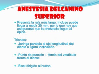 anestesia delCanino
superior
 Presenta la raíz más larga. Incluso puede
llegar a medir 30 mm, por lo que hay que
asegurarse que la anestesia llegue al
ápice.
Técnica:
 -Jeringa paralela al eje longitudinal del
diente o ligera inclinación.
 -Punto de punción fondo del vestíbulo
frente al diente.
 -Bisel dirigido al hueso.
 