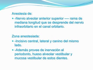 Anestesia de:
 -Nervio alveolar anterior superior ---- rama de
mediana longitud que se desprende del nervio
infraorbitario en el canal orbitario.
Zona anestesiada:
 -Incisivo central, lateral y canino del mismo
lado.
 -Además provee de inervación al
periodonto, hueso alveolar vestibular y
mucosa vestibular de estos dientes.
 