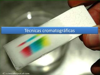 Técnicas cromatográficas
 
