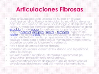 Articulaciones Fibrosas
• Estas articulaciones son uniones de huesos en las que
participa un tejido fibroso, uniéndolos. La movilidad de estas
articulaciones queda definida por la longitud de las fibras del
tejido. A modo de ejemplo cabe citar las articulaciones de la
espalda, las del sacro, las del cráneo las partes de la unión
entre el parietal, occipital, frontal y temporal, algunas del
tobillo y las de la pelvis. Pero las articulaciones de la columna
no son del todo inmóviles, ya que son lo suficientemente
flexibles como para permitir algún movimiento y mantener su
papel de soporte de la columna vertebral.
• Hay 3 tipos de articulaciones fibrosas:
• Sindesmosis: uniones semiinmóviles, donde una membrana
une a los huesos.
• Suturas: pueden ser planas, dentadas o escamosas (se
encuentran principalmente en el cráneo).
• Gónfosis: articulaciones de las raíces de los dientes con el
alveolo (cavidad receptora) del maxilar y la mandíbula..
 
