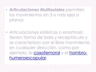 • Articulaciones Multiaxiales permiten
los movimientos en 3 o más ejes o
planos:
• Articulaciones esféricas o enartrosis:
tienen forma de bola y receptáculo y
se caracterizan por el libre movimiento
en cualquier dirección, como por
ejemplo, la coxofemoral y el hombro-
humeroescapular.
 