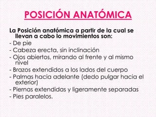 POSICIÓN ANATÓMICA
La Posición anatómica a partir de la cual se
llevan a cabo lo movimientos son:
- De pie
- Cabeza erecta, sin inclinación
- Ojos abiertos, mirando al frente y al mismo
nivel
- Brazos extendidos a los lados del cuerpo
- Palmas hacia adelante (dedo pulgar hacia el
exterior)
- Piernas extendidas y ligeramente separadas
- Pies paralelos.
 