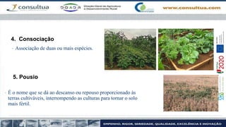 5. Pousio
• É o nome que se dá ao descanso ou repouso proporcionado às
terras cultiváveis, interrompendo as culturas para tornar o solo
mais fértil.
4. Consociação
• Associação de duas ou mais espécies.
 