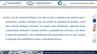 Assim o uso do controle biológico, traz não só para o produtor mas também para o
consumidor, grandes vantagens tanto no sentido da qualidade do produto, como
num controle biológico eficiente, em alguns casos duradouros, apresenta baixa
contaminação ambiental, é barato, melhora a qualidade dos alimentos, sem danos
a saúde do consumidor e dos trabalhadores dessa plantação uma vez que é menor
a exposição dos trabalhadores rurais a substâncias tóxicas.
 