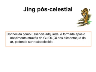 Jing pós-celestial
Conhecida como Essência adquirida, é formada após o
nascimento através do Gu Qi (Qi dos alimentos) e do
ar, podendo ser restabelecida.
 