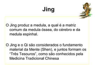 Jing
O Jing produz a medula, a qual é a matriz
comum da medula óssea, do cérebro e da
medula espinhal.
O Jing e o Qi são considerados o fundamento
material da Mente (Shen), e juntos formam os
“Três Tesouros”, como são conhecidos pela
Medicina Tradicional Chinesa
 