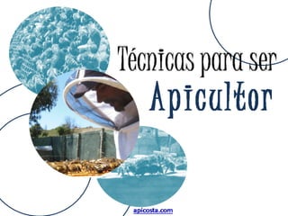 Tecnicas para ser apicultor -Techniques to be a beekeeper
