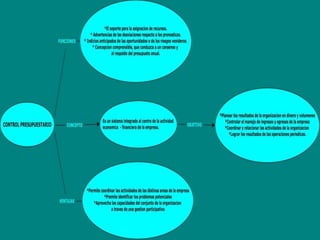 CONTROL PRESUPUESTARIO 