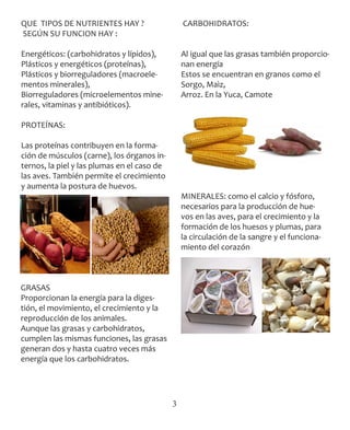 3
QUE TIPOS DE NUTRIENTES HAY ?
 SEGÚN SU FUNCION HAY :
 
Energéticos: (carbohidratos y lípidos),
Plásticos y energéticos (proteínas),
Plásticos y biorreguladores (macroele-
mentos minerales),
Biorreguladores (microelementos mine-
rales, vitaminas y antibióticos).
PROTEÍNAS:
 
Las proteínas contribuyen en la forma-
ción de músculos (carne), los órganos in-
ternos, la piel y las plumas en el caso de
las aves. También permite el crecimiento
y aumenta la postura de huevos.
GRASAS  
Proporcionan la energía para la diges-
tión, el movimiento, el crecimiento y la
reproducción de los animales.
Aunque las grasas y carbohidratos,
cumplen las mismas funciones, las grasas
generan dos y hasta cuatro veces más
energía que los carbohidratos.
CARBOHIDRATOS:
Al igual que las grasas también proporcio-
nan energía
Estos se encuentran en granos como el
Sorgo, Maìz,
Arroz. En la Yuca, Camote
MINERALES: como el calcio y fósforo,
necesarios para la producción de hue-
vos en las aves, para el crecimiento y la
formación de los huesos y plumas, para
la circulación de la sangre y el funciona-
miento del corazón
 