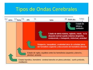 Tipos de Ondas Cerebrales
 