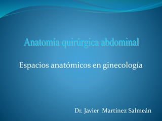 Espacios anatómicos en ginecología
Dr. Javier Martínez Salmeán
