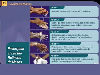Bioseguridad - Tecnicas y procedimientos