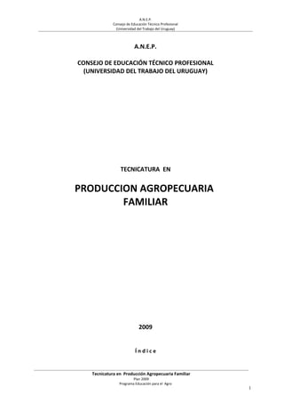 A.N.E.P.
Consejo de Educación Técnico Profesional
(Universidad del Trabajo del Uruguay)
A.N.E.P.
CONSEJO DE EDUCACIÓN TÉCNICO PROFESIONAL
(UNIVERSIDAD DEL TRABAJO DEL URUGUAY)
TECNICATURA EN
PRODUCCION AGROPECUARIA
FAMILIAR
2009
Í n d i c e
Tecnicatura en Producción Agropecuaria Familiar
Plan 2009
Programa Educación para el Agro
1
 