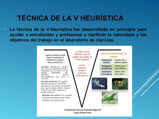 TÉCNICA DE LA V HEURÍSTICA
 La técnica de la V Heurística fue desarrollada en principio para
ayudar a estudiantes y profesores a clarificar la naturaleza y los
objetivos del trabajo en el laboratorio de ciencias.
 