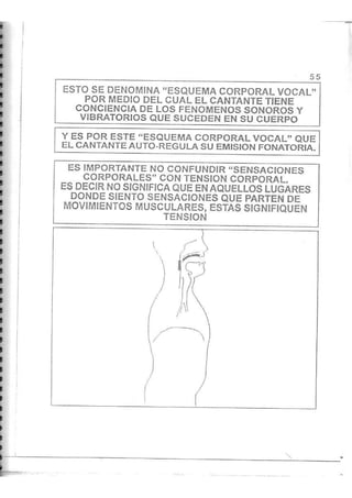 Tecnica vocal
