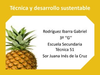 Técnica y desarrollo sustentable


             Rodríguez Ibarra Gabriel
                      3º ‘‘G’’
               Escuela Secundaria
                    Técnica 51
             Sor Juana Inés de la Cruz
 