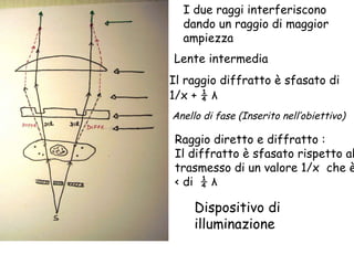 Raggio diretto e diffratto : Il diffratto è sfasato rispetto al  trasmesso di un valore 1/x  che è < di  ¼  λ Anello di fase (Inserito nell’obiettivo) Dispositivo di illuminazione Il raggio diffratto è sfasato di  1/x + ¼  λ I due raggi interferiscono dando un raggio di maggior ampiezza Lente intermedia 