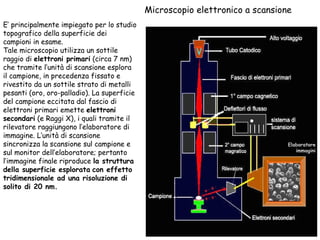 Microscopio elettronico a scansione Elaboratore immagini E’ principalmente impiegato per lo studio topografico della superficie dei campioni in esame. Tale microscopio utilizza un sottile raggio di  elettroni primari  (circa 7 nm) che tramite l’unità di scansione esplora il campione, in precedenza fissato e rivestito da un sottile strato di metalli pesanti (oro, oro-palladio). La superficie del campione eccitata dal fascio di elettroni primari emette  elettroni secondari  (e Raggi X), i quali tramite il rilevatore raggiungono l’elaboratore di immagine. L’unità di scansione sincronizza la scansione sul campione e sul monitor dell’elaboratore; pertanto l’immagine finale riproduce  la struttura della superficie esplorata   con effetto tridimensionale ad una risoluzione di solito di 20 nm.  