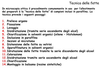 Tecnica delle fette Prelievo organo Fissazione Lavaggio Disidratazione (tramite serie ascendente degli alcol) Chiarificazione in solventi organici (xilene – Histolemon) Inclusione in paraffina Sezioni al microtomo Distensione delle fette su vetrini Sparaffinatura in solventi organici Idratazione delle fette tramite la serie discendente degli alcool Colorazione Disidratazione tramite serie ascendente degli alcool Chiarificazione Montaggio in balsamo (resine sintetiche)  In microscopia ottica il procedimento comunemente in uso  per l’allestimento dei preparati è la “tecnica delle fette” di campioni inclusi in paraffina. La tecnica prevede i seguenti passaggi: 
