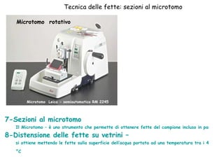 Tecnica delle fette: sezioni al microtomo Microtomo  rotativo Microtomo  Leica - semiautomatico RM 2245 7-Sezioni al microtomo  Il Microtomo – è uno strumento che permette di ottenere fette del campione incluso in paraffina dello spessore di 3-10 mm 8-Distensione delle fette su vetrini –  si ottiene mettendo le fette sulla superficie dell’acqua portata ad una temperatura tra i 40-50  °C   