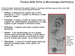 Tecnica delle fette in Microscopia elettronica In linea di principio l’allestimento dei preparati biologici in  microscopia elettronica segue gli stessi criteri della microscopia ottica. Tuttavia sono previsti importanti modifiche:  Prelievo : le dimensionei del campione sono di solito dell’ordine di 1-2 mm 3 . Il prelievo va effettuato a freddo in specifici tamponi. Fissazione : è eseguita a freddo con fissativi chimici non coagulanti (es. paraformaldeide, gluteraldeide) a cui segue in genere la post-fissazione in tetrossido di osmio  Inclusione :  il campione viene incluso in plastica (resine epossidiche) Sezioni :  si usa l’ultramicrotomo con cui si possono ottenere sezioni ultrafini (80-100 nm). Si usano lame di vetro o di diamante montate su una bacinella con acqua. Le fette ottenute sono raccolte  con un retino di rame Colorazione :  si usano sali di metalli pesanti (opachi agli elettroni) ad esempio piombo, uranio, platino, oro, argento, ect. Sezioni con l’ultra- microtomo e raccolta delle fette con il retino di rame  