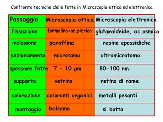 Confronto tecniche delle fette in Microscopia ottica ed elettronica inclusione sezionamento spessore fette supporto colorazione montaggio Passaggio fissazione Microscopia ottica formalina+ac.picrico paraffina microtomo 7 - 10 µm vetrino coloranti organici  balsamo Microscopia elettronica glutaraldeide, ac.osmico resine epossidiche ultramicrotomo 80-100 nm retino di rame metalli pesanti  si butta 