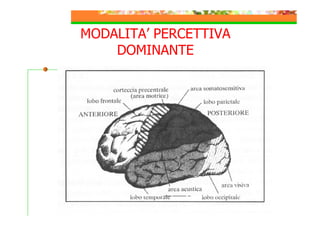 MODALITA’ PERCETTIVA
DOMINANTE

 