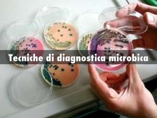 Tecniche di diagnostica microbica